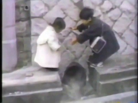 Брат никогда не бросит. Всем смотреть