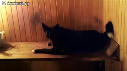 Главный парильщик в семье