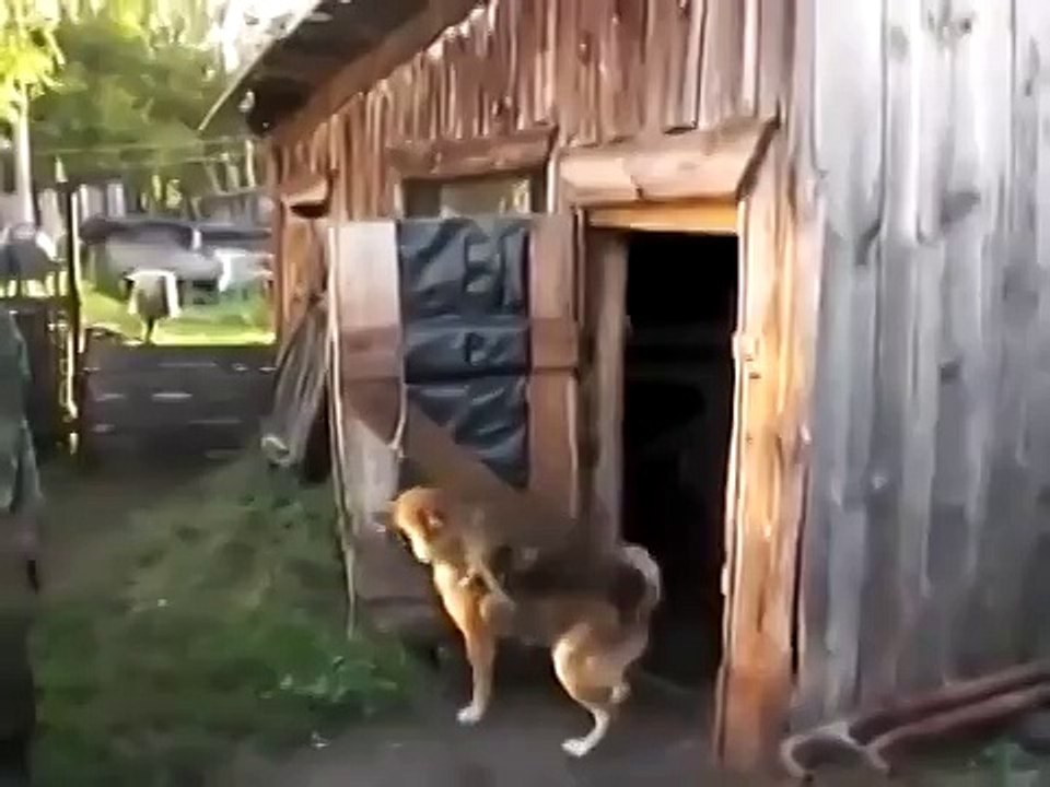 До свиданья, приходите в другой раз