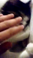 Зачем же так