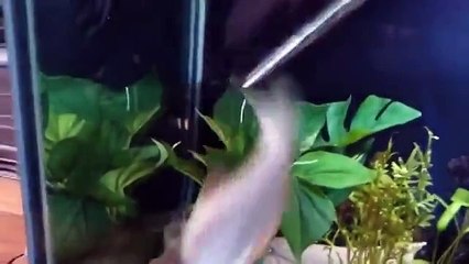 Что делать, когда очень голоден: быстрые и полезные советы 🍽️