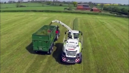 UK Farming Beans Harvesting at Beauworth