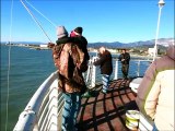 Pesca in mare con bilancia dal pontile di Marina di Massa