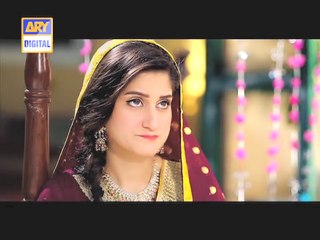 Shehzada Saleem Promo 3 On ARY Digital