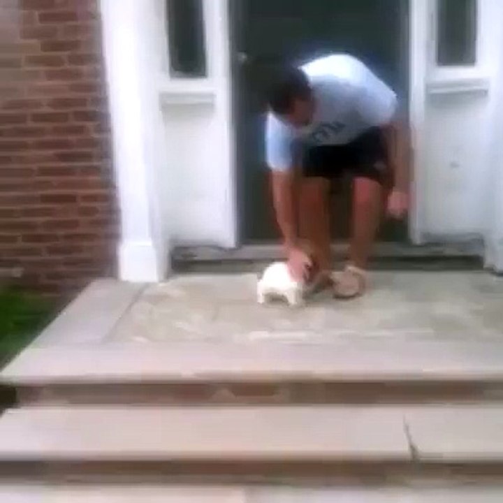 Dog finds a way