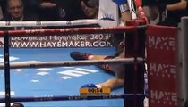David Haye vs Mark de Mori - Knockout!