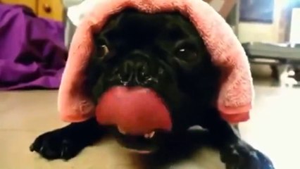 I can't control myself