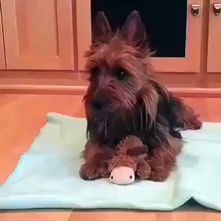 Sunday evening vibes