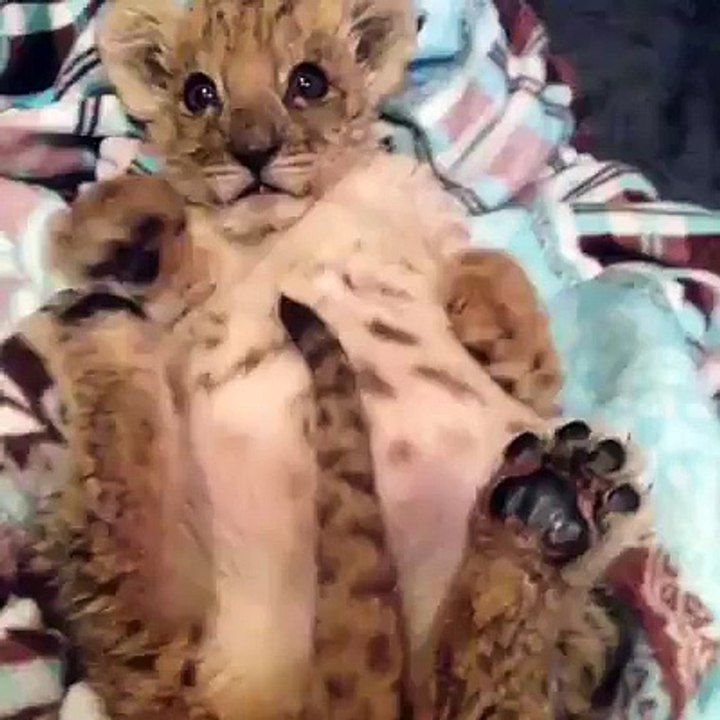 Sunday morning vibes