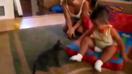 Funny cats annoying babies - Cute cat & baby compilation