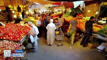 الأردن - جنى مقداد - طيور الجنة