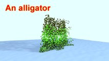 Learn Animals For Children - Candy Bear Alligator Ant Chicken Turtle
