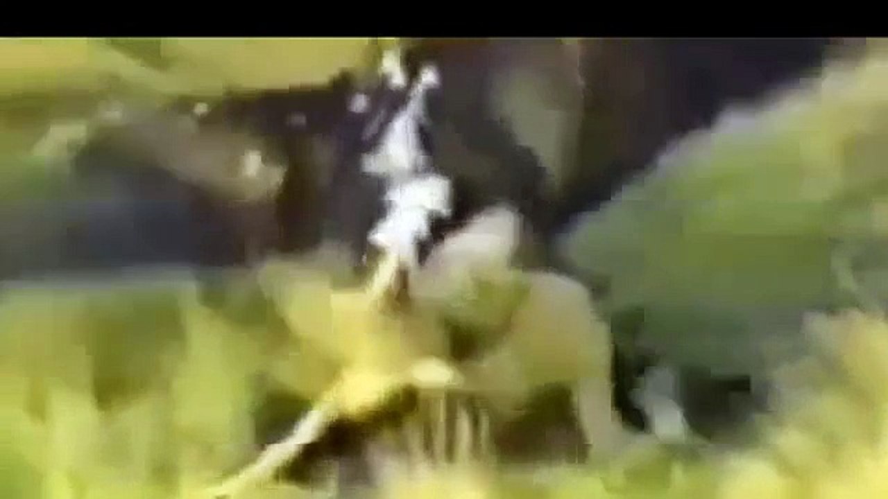 MAN AND BEAST - Part 25