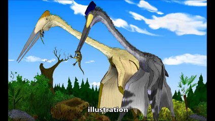 10 Gigantic Prehistoric Creatures