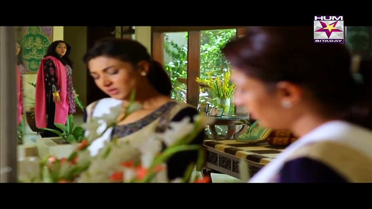 Sawaab Episode 30 Last Episode Full HumSitaray TV Drama 16 July 2015