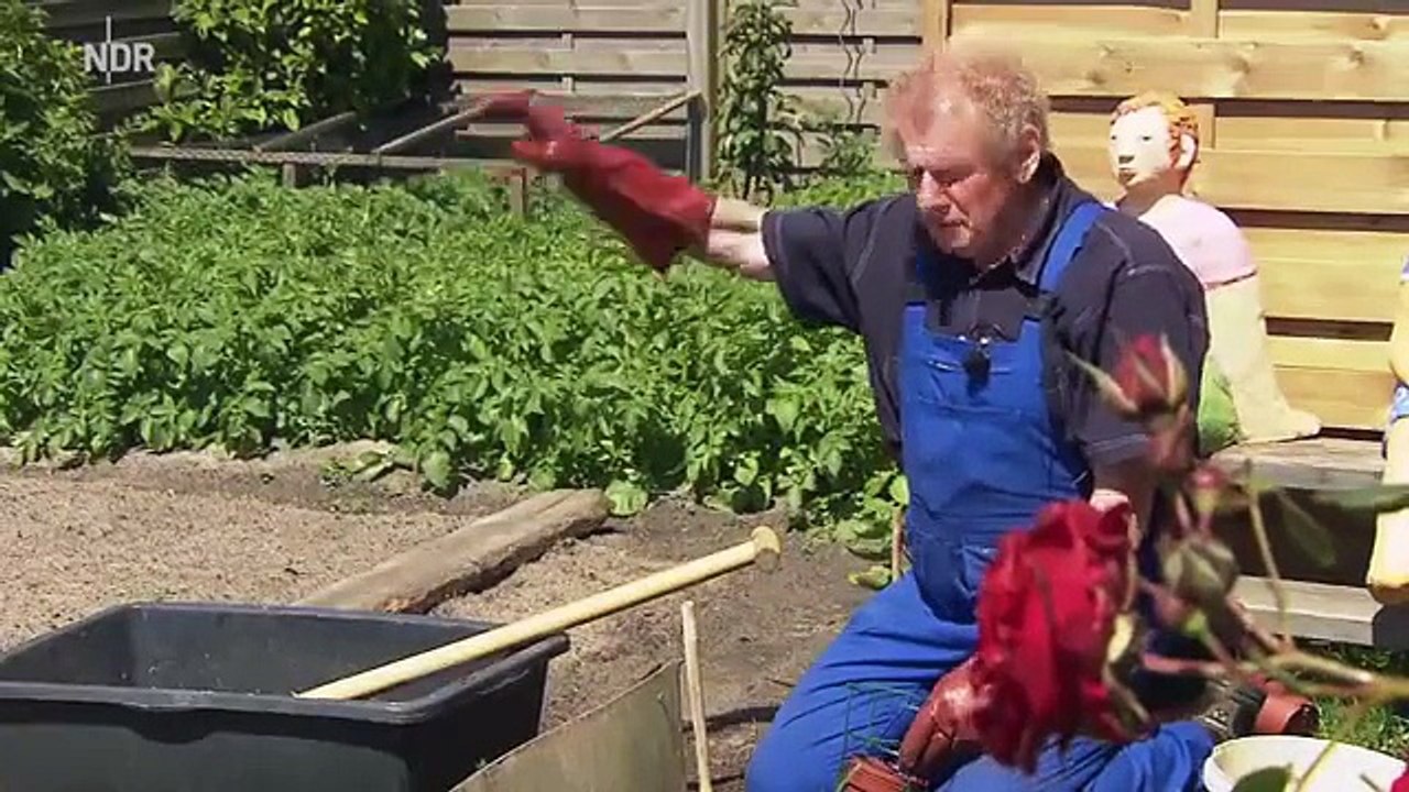 die nordstory: Baltrum TV