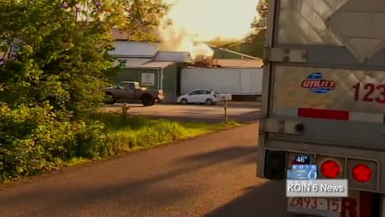 Man falls into meat grinder in gruesome workplace accident