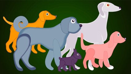 Dog & Puppy Finger Family ♦ Daddy Finger Song for Children, Kids and Toddlers