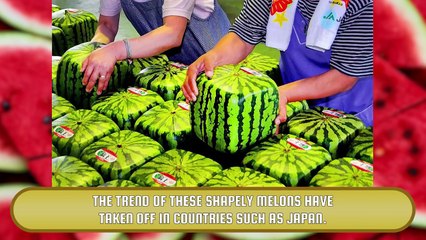 9 Strangest Genetically Mutated Products Video