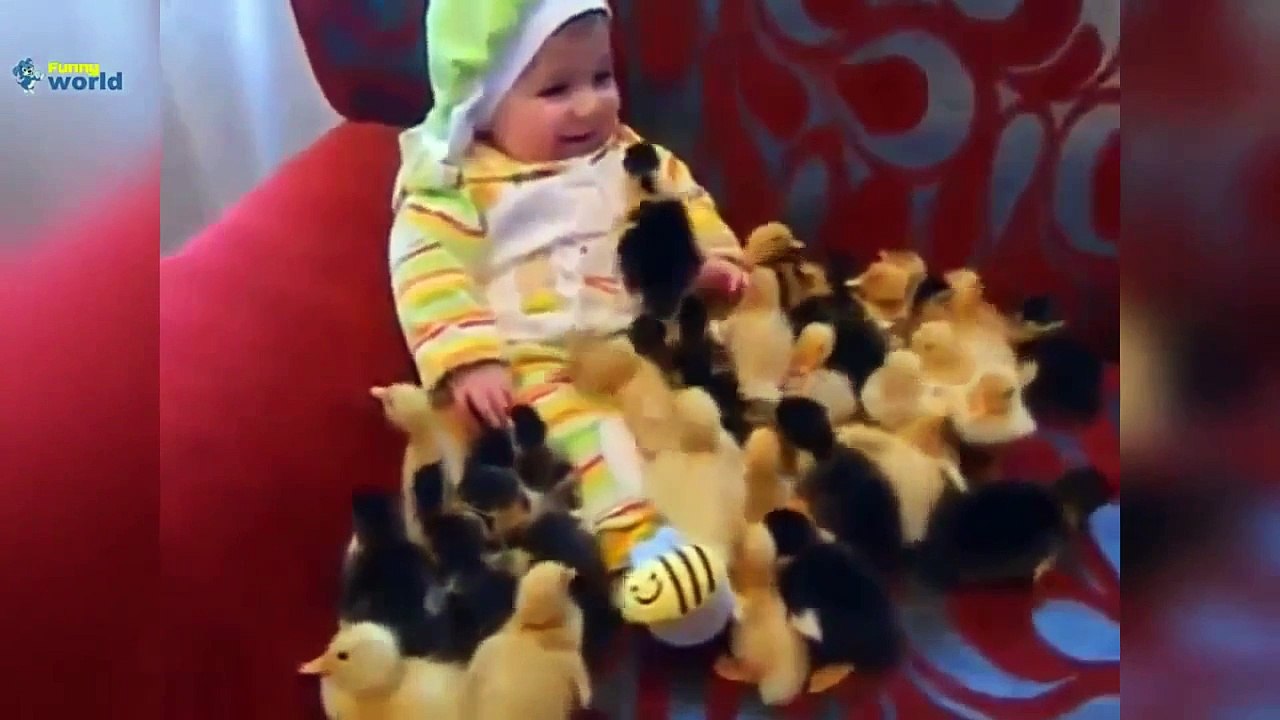 2015 Başarısız Komik Videolar Compilation 2015 Başarısız 720P