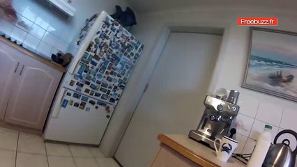 Elle trouve un serpent mortellement venimeux dans sa cuisine !