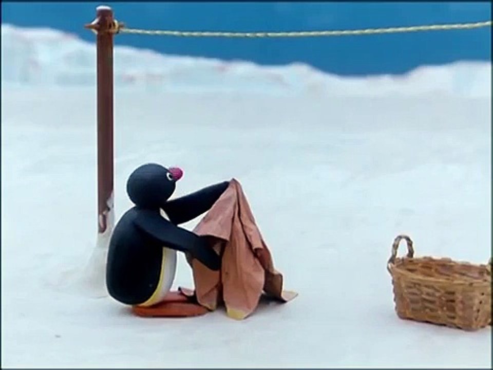Pingus Prank Pingu Official Channel