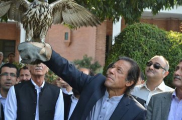 Imran Khan couldn't control Eagle while Freeing it