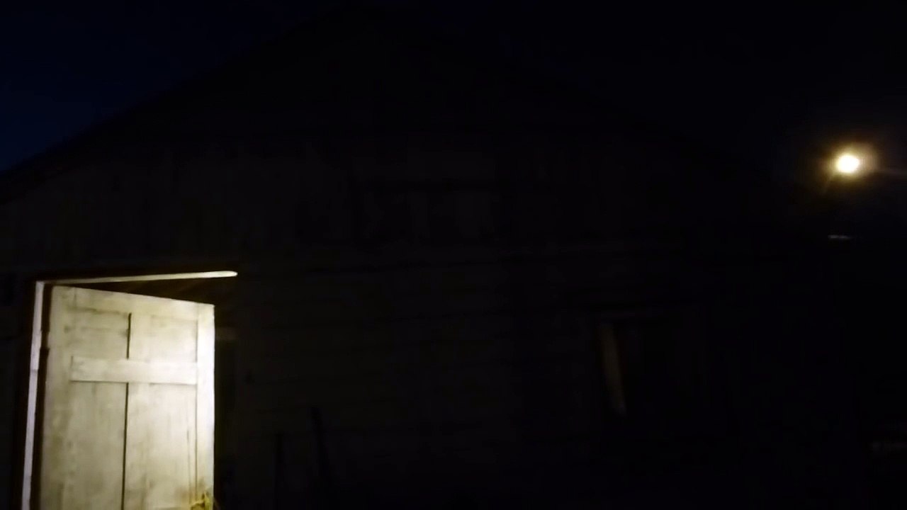 PhenomeNotNormal