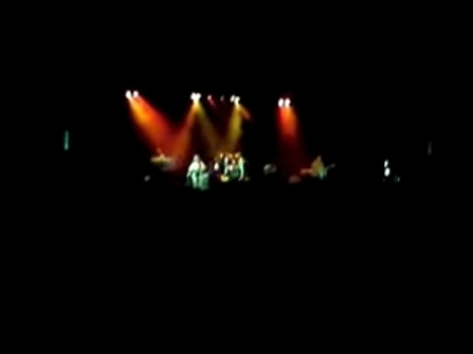 Première partie du concert de capleton