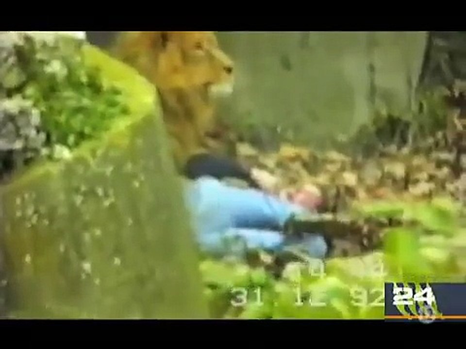 When animals attack BEST OF all times on man made univers