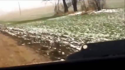 Tree Struck by Lightning Caught on Dashcam