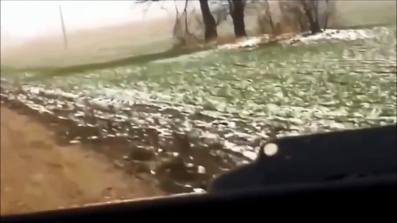 Tree Struck by Lightning Caught on Dashcam