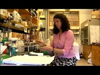 Documentary The Evolution of Animal Communication infographic Full Documentry