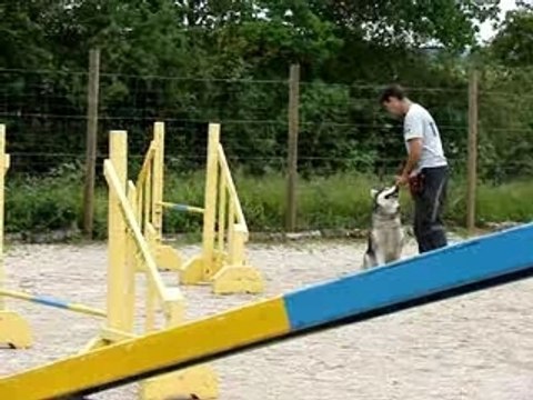 Agility Avril Mai 2007