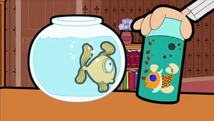 Mr. Bean Frog Spawn and Tadpoles