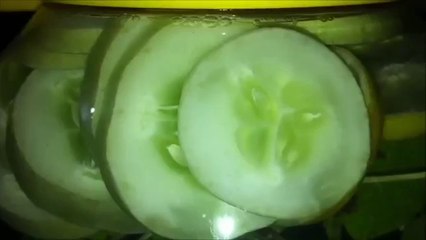 Hygienitech Systems LLC - Flat Belly Diet Drink