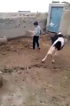 es bachy k ap kaaam daikhy ye kis tarah paglon waly kaam ker raha hy