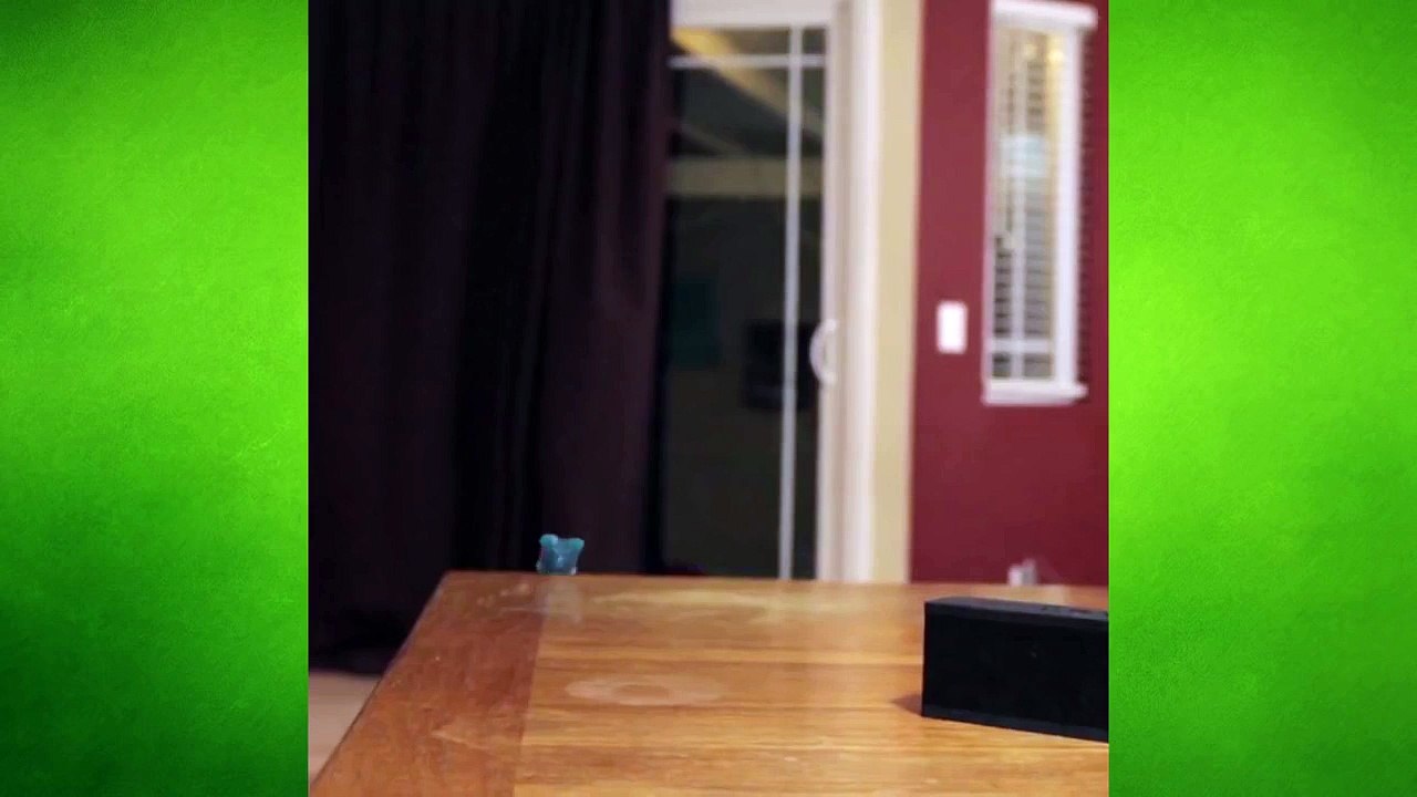 Gummy Bear Dance