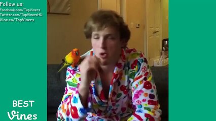 BEST VINES of April 2015 with Titles! - NEW April Vine Compilation Part 3 - BEST VINES ✔