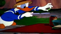 DONALD DUCK CARTOONS !!! DONALD DUCK & Chip an` Dale CARTOON EPISODES FULL COMPILATION 2015 [HD]