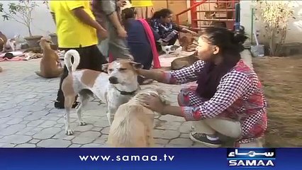 Mohabbat ki koi zaban nahi - News Package - 13 Jan 2016 (News World)