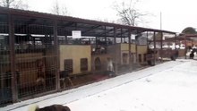 17.01.2016 PS Bacau 1