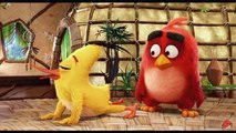 The Angry Birds [[2016]] Streaming  Movie Full Movie [[HD]] 2016*