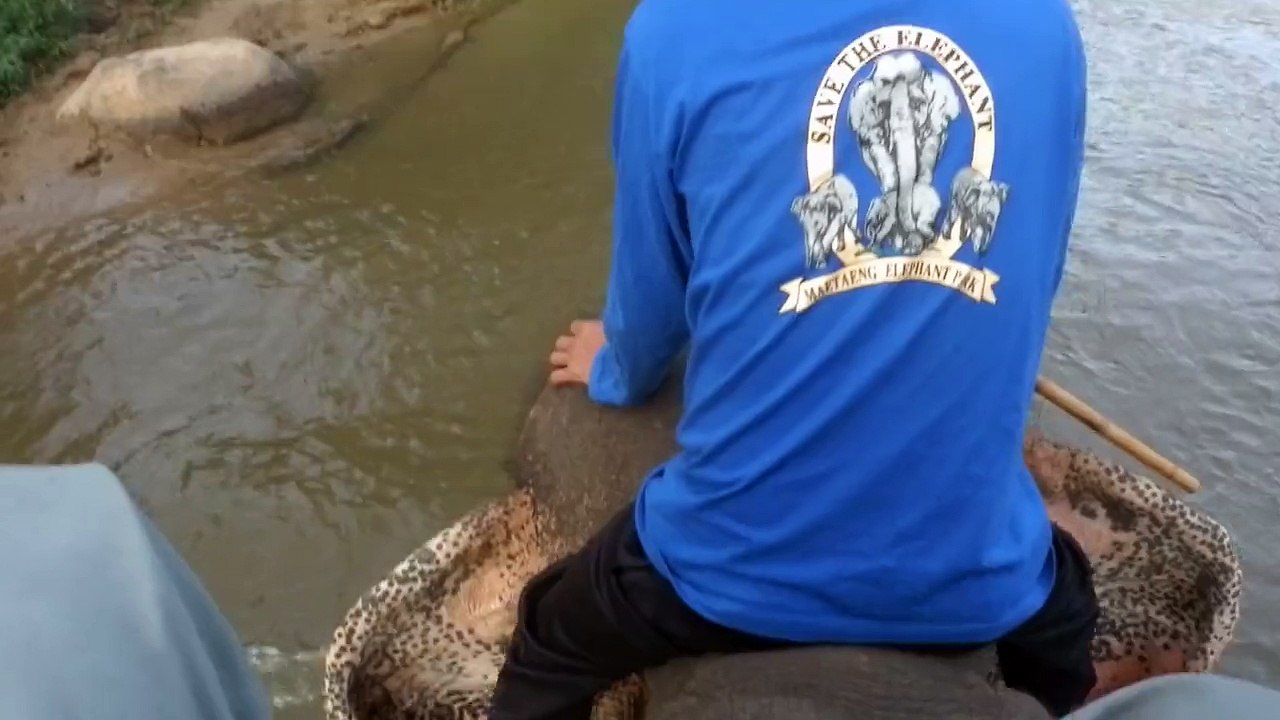 AU CAMP DES ÉLÉPHANTS DE CHIANG MAI (THAÏLANDE) LE 29 NOVEMBRE 2015