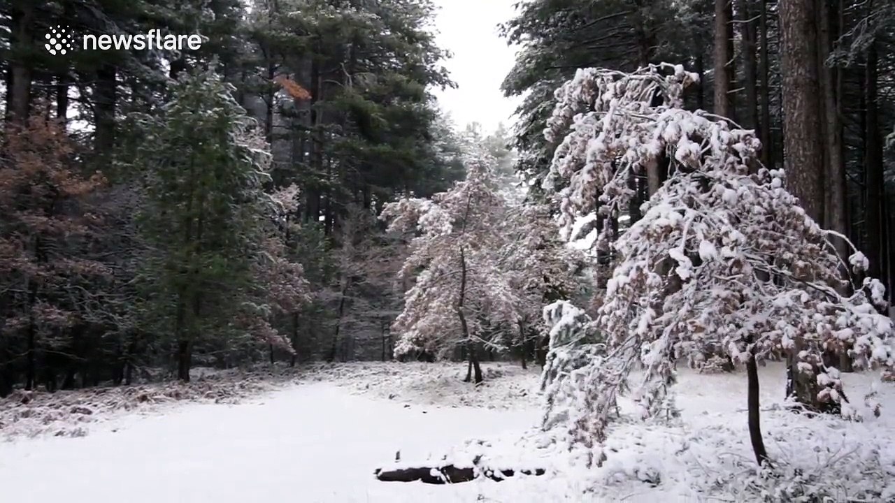 Snow falls in Sicily