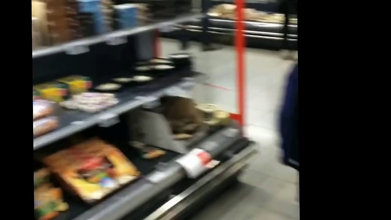 PRANK video