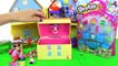 Barbie Kinder Ovos Surpresas Peppa Pig Frozen Galinha Pintadinha Princesas Disney Surprise
