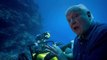 Face to face with sharks - Great Barrier Reef with David Attenborough: Episode 2 Preview - BBC
