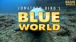 Jonathan Bird s Blue World  Silfra Iceland