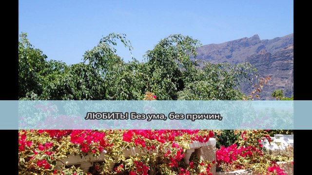 Фан-видео: Поёт Александр Бон. Танго «Querer» (Светлана Павловна Грибакина)